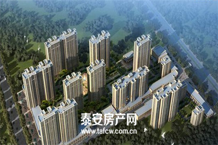 紫杉公馆1263m21000万